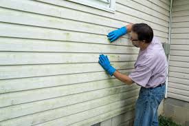 Best Insulated Siding Installation  in Borden, IN